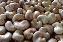 Phòng tránh độc tố tự nhiên trong thực phẩm 