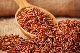 Cách tăng hệ miễn dịch ở người lớn tuổi trong mùa COVID-19