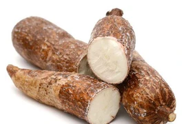 Nhiều lợi ích bất ngờ từ củ khoai mì ít người biết đến