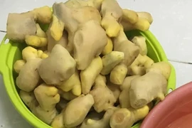 Bất ngờ với công dụng giảm cân của gừng