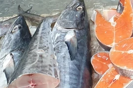 Cá thu có thể giúp làm giảm nguy cơ bệnh tiểu đường?