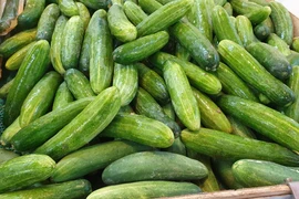 Mối liên hệ giữa dưa chuột và bệnh tiểu đường