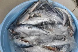 Lưu ý khi mua thực phẩm qua mạng trong mùa dịch COVID-19