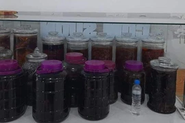 Cẩn thận khi uống rượu tự ngâm kẻo mang họa