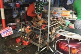 TP.HCM tiến tới chấm dứt các cơ sở giết mổ gia súc, gia cầm thủ công