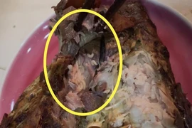 Xử lý ra sao nếu nhà hàng bán thực phẩm có giòi?