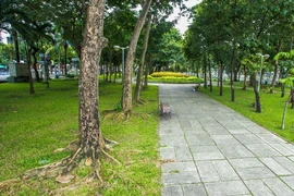 TP.HCM chỉ mới thực hiện 7/75 dự án xây dựng công viên công cộng 