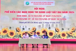 Điểm mới về việc cấp sổ hồng với trường hợp đất không có giấy tờ 