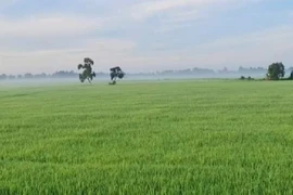 Thủ tướng phê bình các địa phương chậm ban hành văn bản quy định thi hành Luật Đất đai