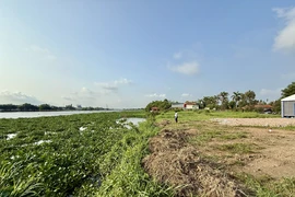 TP.HCM khởi công dự án chống triều cường, ngăn ngập ven sông Sài Gòn