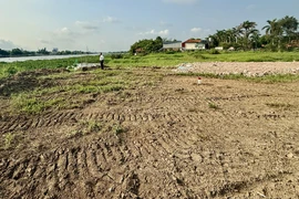 TP.HCM thu thập thông tin về giá đất thị trường để xây dựng bảng giá đất mới