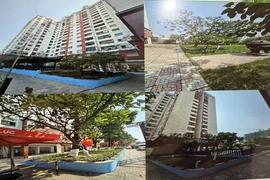 Chủ đầu tư mong khắc phục sai phạm để cấp sổ hồng cho cư dân chung cư Thái An 3&4