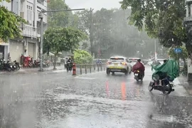 Nhiều nơi ở Nam Bộ khả năng chiều và tối nay có mưa