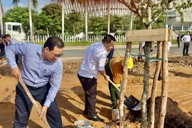 Trồng 230 cây xanh tại Khu đất quy hoạch Quảng trường sáng tạo, TP.HCM
