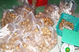 Phạt chủ cơ sở làm bò viên bằng thịt heo thối
