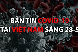 Video: Bản tin dịch COVID-19 tại Việt Nam sáng 28-5