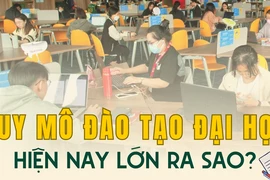 Infographic: Quy mô đào tạo đại học trên cả nước hiện nay lớn ra sao?