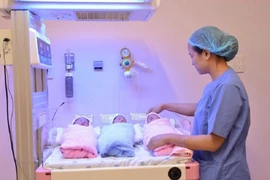 Điều dưỡng đang chăm sóc cho ba bé sơ sinh. Ảnh: NP