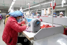 Người lao động làm việc trong một công ty may. Ảnh: V.LONG