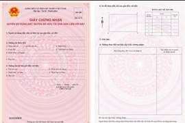 Giấy chứng nhận đã cấp trước ngày 1-8-2024 vẫn có giá trị pháp lý và không phải cấp đổi sổ hồng sang mẫu mới. Ảnh minh họa