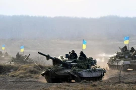 Các binh sĩ Ukraine trong một cuộc tập trận ở vùng Zhytomyr.