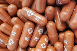 Những viên thuốc trị COVID-19 Molnupiravir do hãng dược Mỹ Merck sản xuất.
