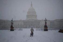 Một người đàn ông đi xe đạp trong trận bão tuyết trên Đồi Capitol ở thủ đô Washington, Mỹ, ngày 3-1.