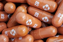 Những viên thuốc molnupiravir dùng để điều trị COVID-19 do Merck phát triển được chụp vào ngày 17-5-2021.