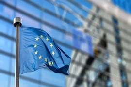 Cờ Liên minh châu Âu (EU).
