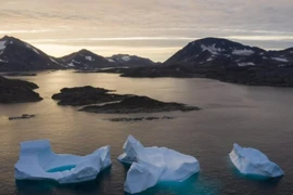 Các tảng băng trôi gần Kulusuk, Greenland, vào ngày 16-8-2019.