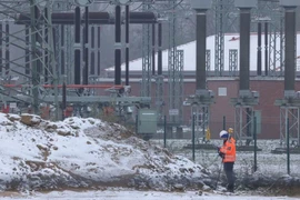 Một công nhân đứng bên ngoài một trạm biến áp điện vào tháng 11 ở ngoại ô thủ đô Berlin.