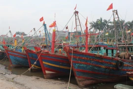 Tàu thuyền trên vịnh Bắc Bộ đã cập bờ trú bão