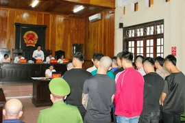 Nhóm thanh niên dùng gạch tấn công người đi đường ở Hải Dương lĩnh án