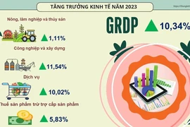Kinh tế Hải Phòng tăng trưởng 10,34%, đứng thứ 5 trên cả nước