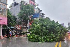 Bão số 2 suy yếu thành áp thấp nhiệt đới