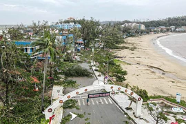 Đồ Sơn sau bão