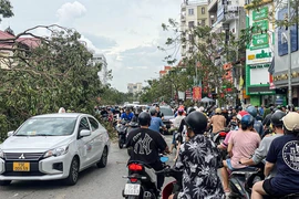 Cây xanh vẫn la liệt trên phố sau bão số 3, Hải Phòng huy động tổng lực dọn dẹp