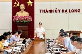 Giám đốc Ban quản lý dự án đầu tư xây dựng Hạ Long bị tạm đình chỉ công tác