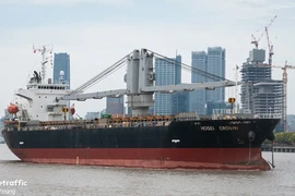 Tàu quốc tịch Panama đâm chìm tàu cá Việt Nam, 4 ngư dân thiệt mạng