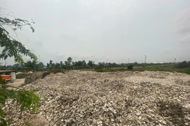 Khởi tố chủ cơ sở chế biến đổ hơn 324 tấn vỏ hàu ra môi trường