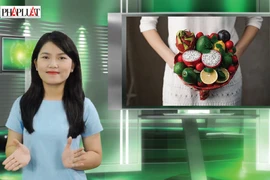 Vui Độc Lạ:Bó hoa trái cây, gợi ý thú vị cho ngày 20-11