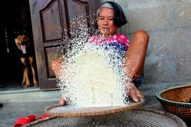 Người phụ nữ không tay sàng gạo, xâu kim bằng chân