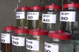 Video: Hậu họa khi bán rượu giả