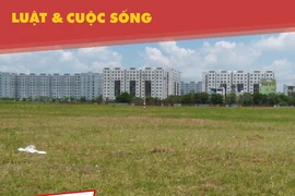 Cư dân phản pháo kết luận ô nhiễm chung cư do cỏ bông lau