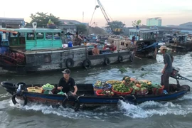 Về Cần Thơ đi chợ nổi Cái Răng