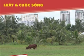 Dân Thanh Đa muốn sớm thực hiện dự án khu đô thị mới