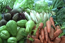 Có một khu chợ nông sản sạch của người trẻ
