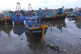 Tàu thuyền đậu kín sông Cà Ty để tránh bão số 9