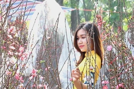 Chợ hoa Tết 2019 hút khách tham quan, chụp ảnh