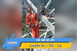 Video: Hoảng hồn kiểu ngủ trưa có một không hai của thợ điện